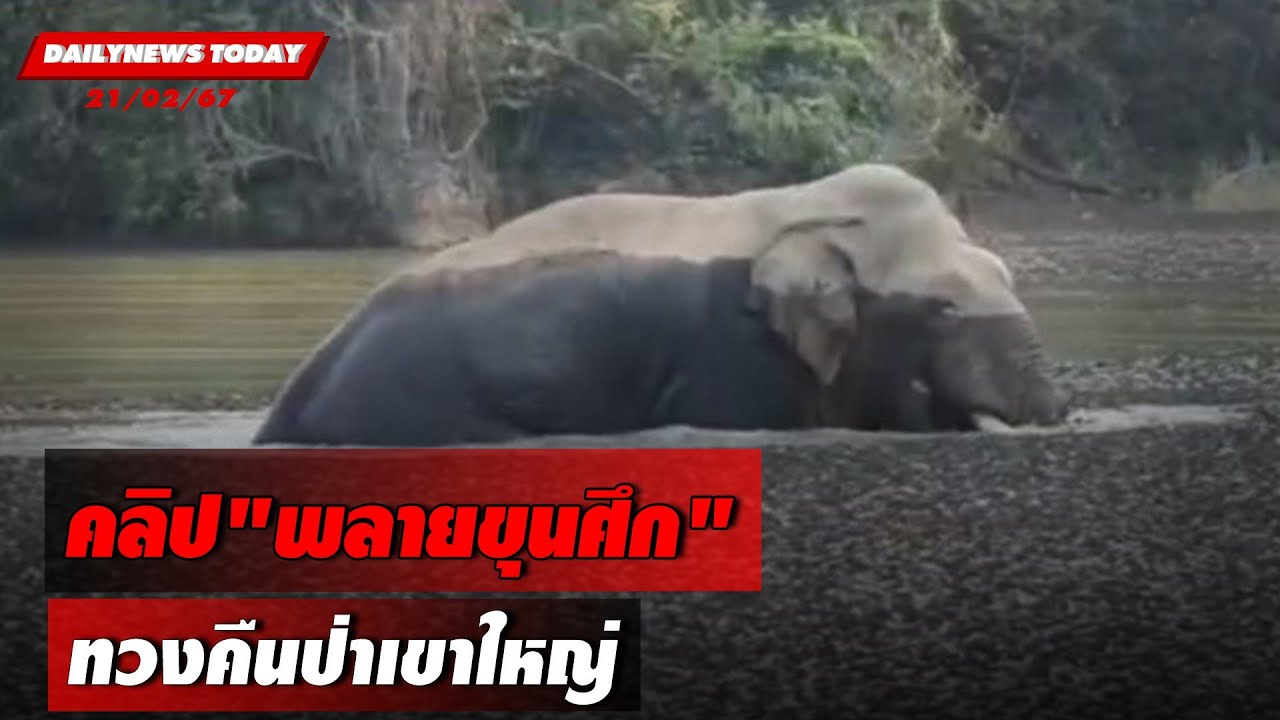 คลิป