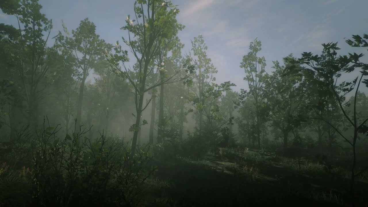 Ambient Red Dead Redemption 2 - Roanoke Valley 1