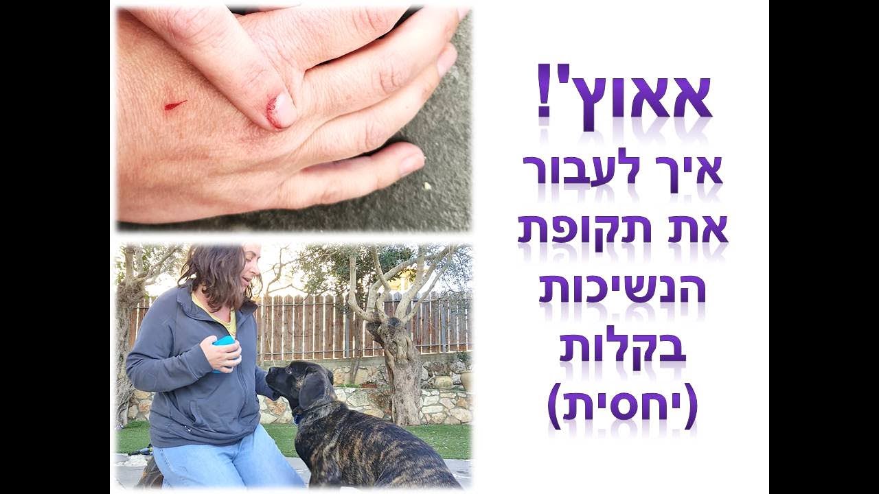 גורים - איך להפסיק נשיכות - טיפ 4 | דנה שריד חמו | אימון כלבים בצפון