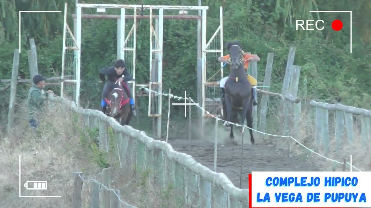 Suspiro vs Buena Mosa