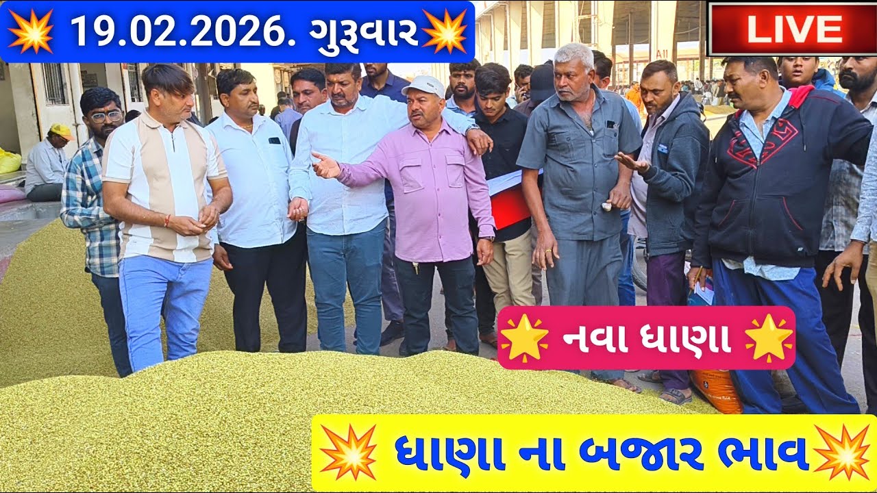 🔴live નવા ધાણા ના બજાર ભાવ આજના જસદણ માર્કેટિંગ યાર્ડ, new coriander seeds auction,February 19, 2026