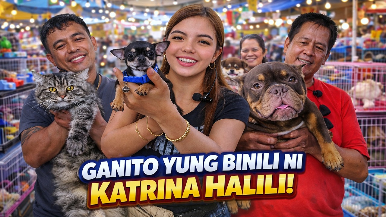 QUALITY BULLY AT MGA PUSA NANDITO! Grotto Pet Market Dogs, Cats and Birds