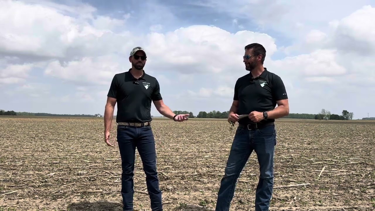 Foliar: Soybeans