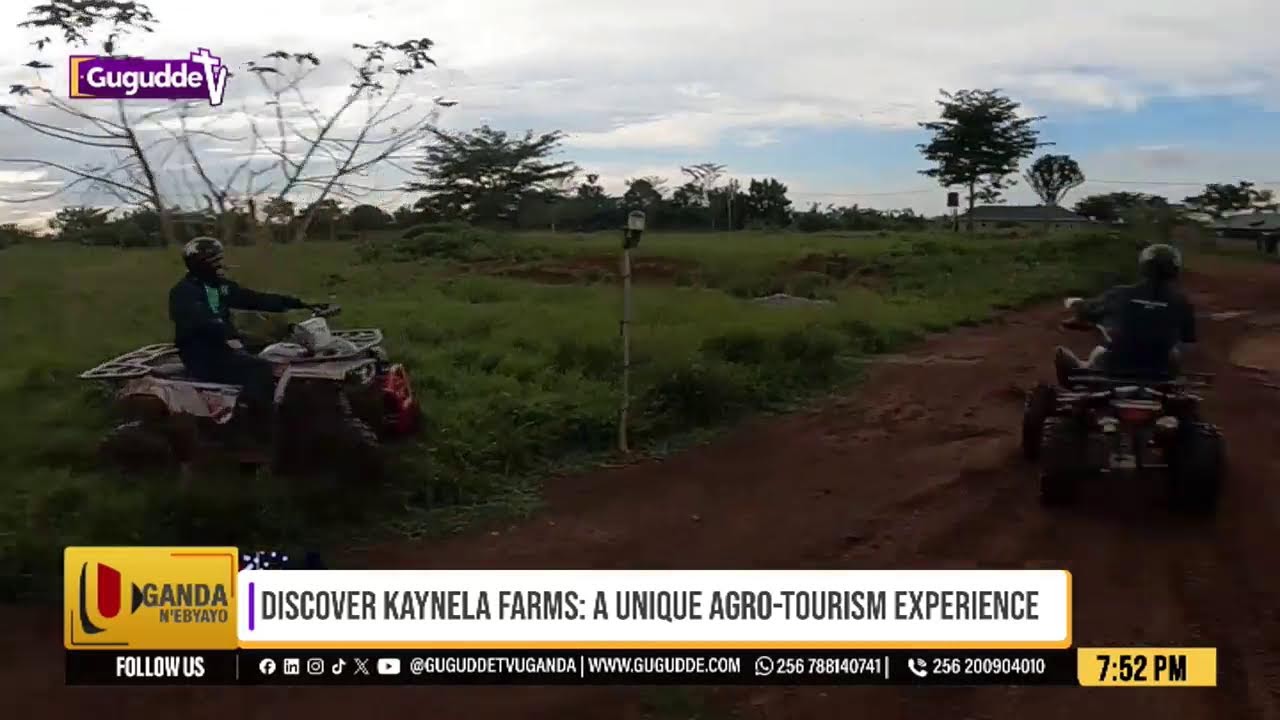 Discover Kaynela Farms: A Unique Agro-Tourism Experience