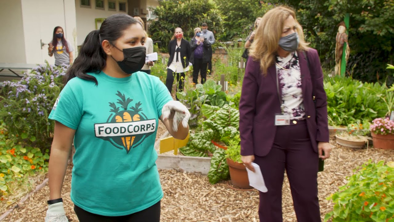 Lessons from the Field: Mitchell Elementary, Lawndale Elementary School District