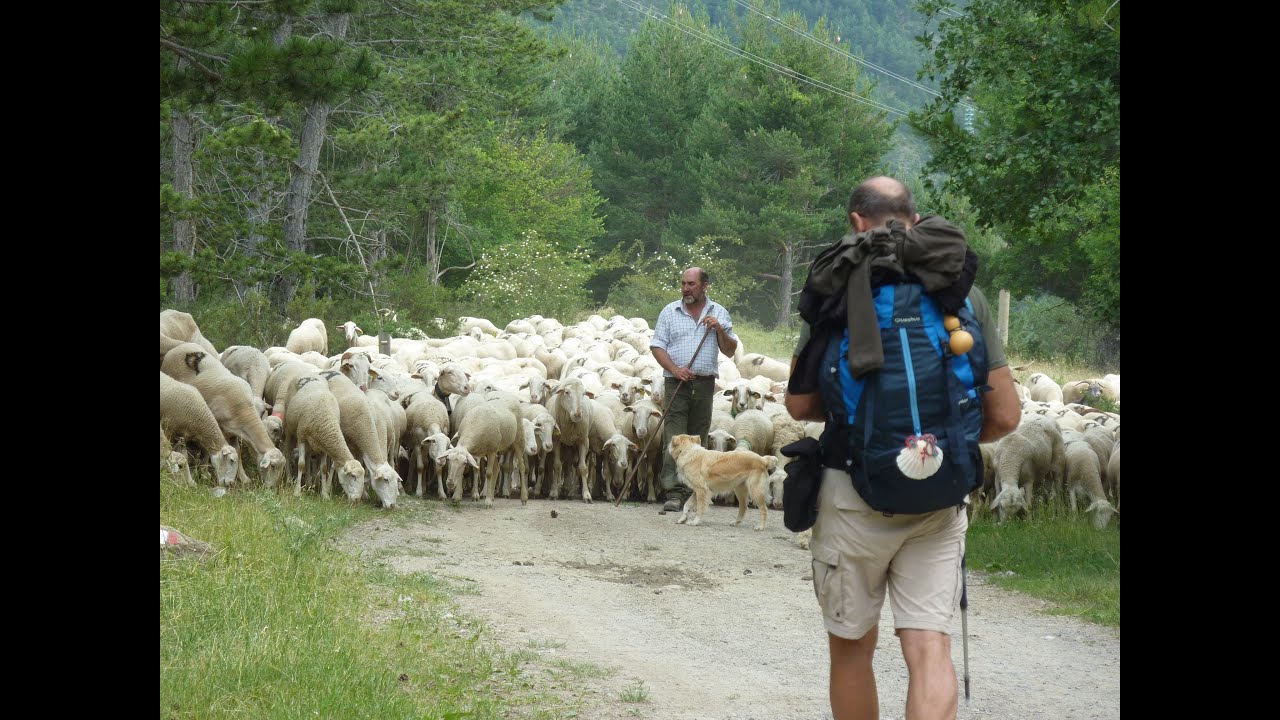 Un pèlerin sur le chemin d'Arles ( Mai / Juin 2011 )