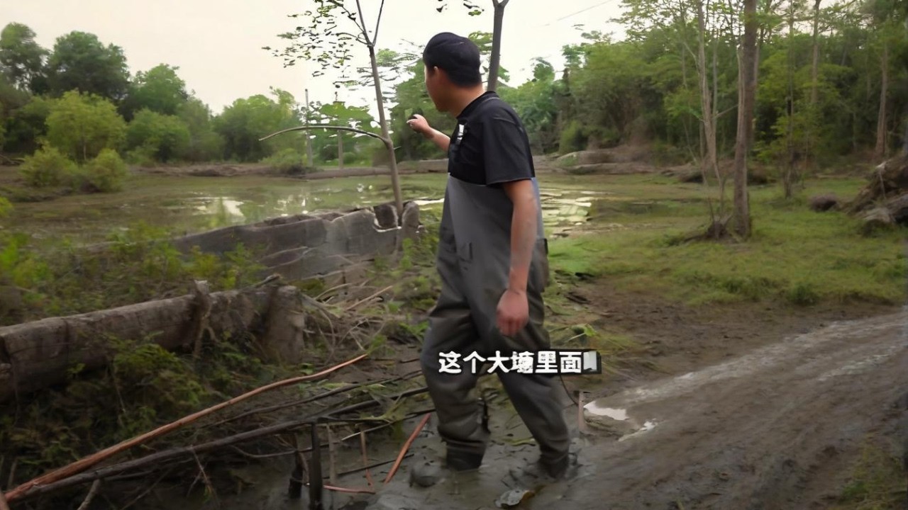 包下一口荒塘，裡面的甲魚鱷龜泛濫成災#搞笑 #撈底 #fishing