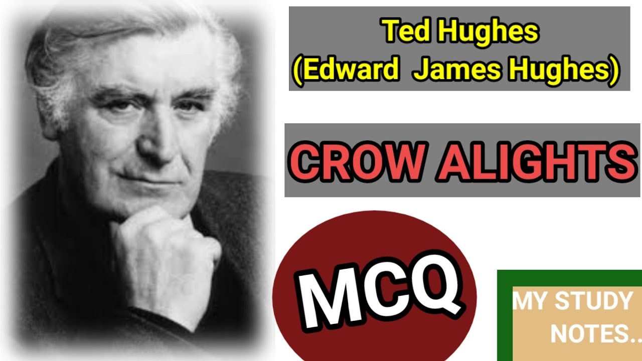 CROW ALIGHT || Ted Hughes (Edward James Hughes) || MCQ || @mystudynotes4243