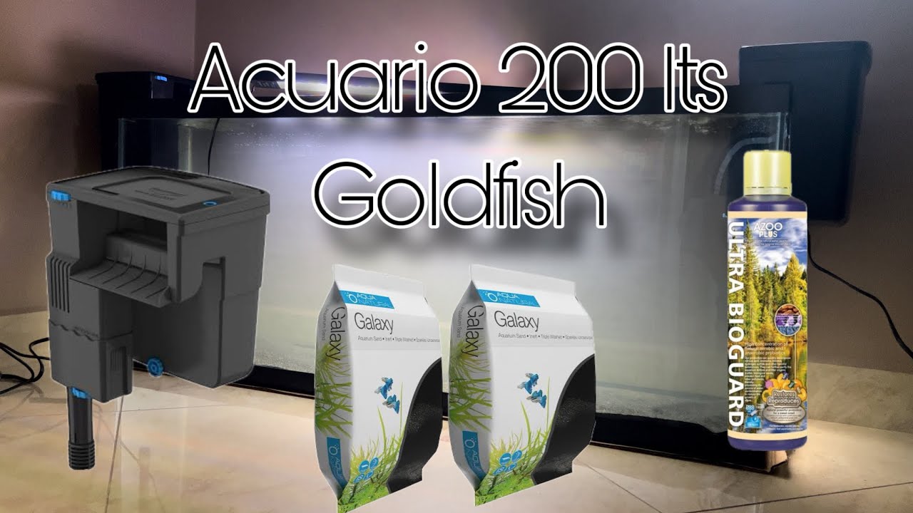 Montaje NUEVO Acuario 200L para Goldfish | Como ciclar un acuario