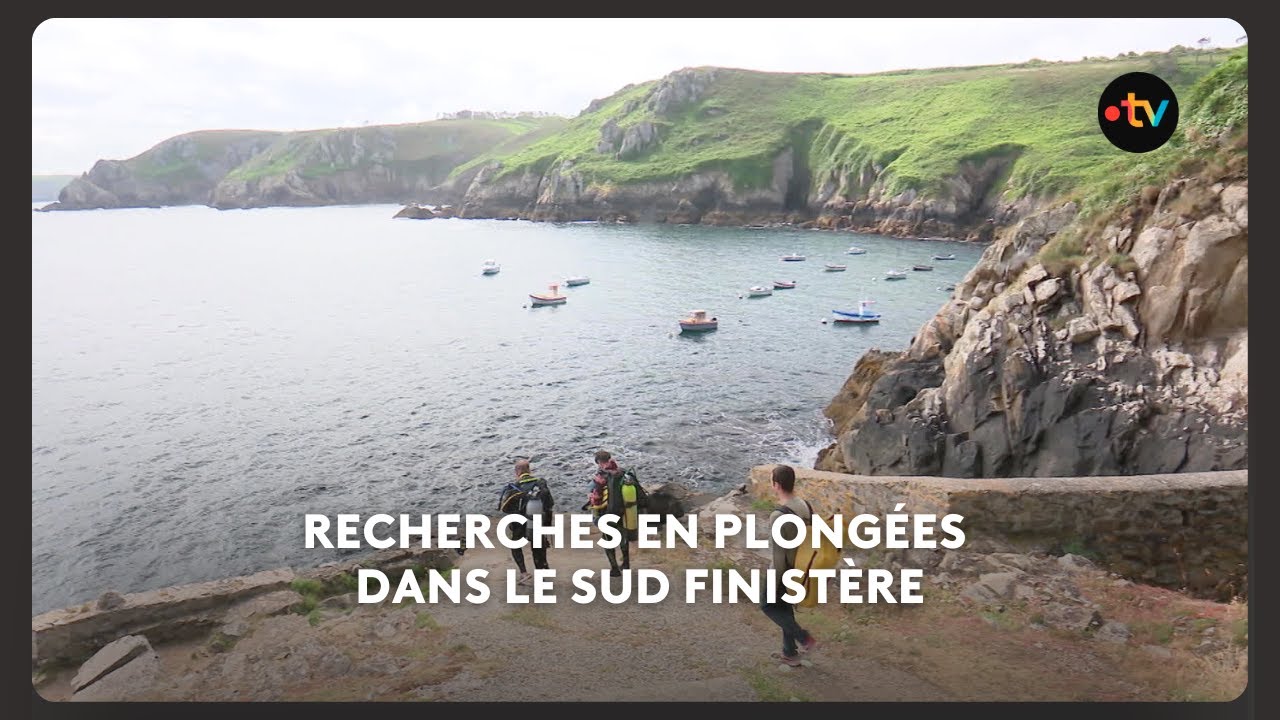 À Brest, une vingtaine de plongeurs scientifiques mènent leurs recherches de A à Z.