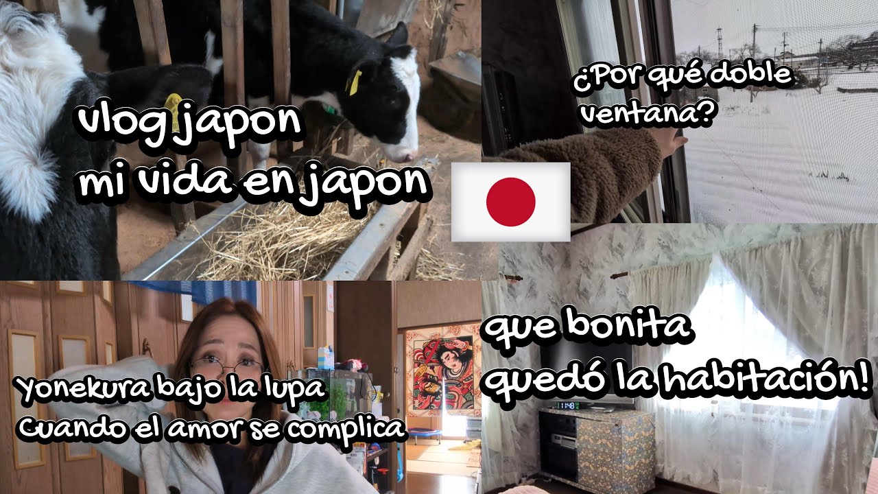 ¿Por qué las casas en Japón tienen dos ventanas? | Vlog + chisme Yonekura