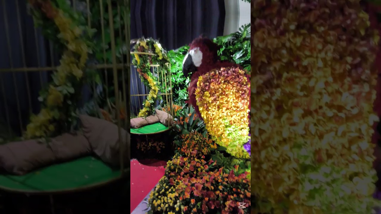 World Flower Show - Światowa Wystawa Roślin 2025