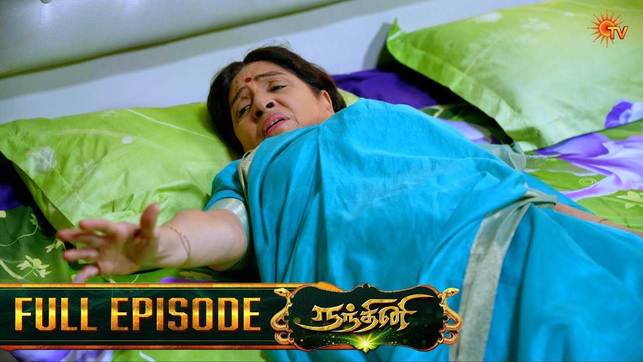 Nandhini - நந்தினி | Episode - 225 | Tamil Serial | Sun TV