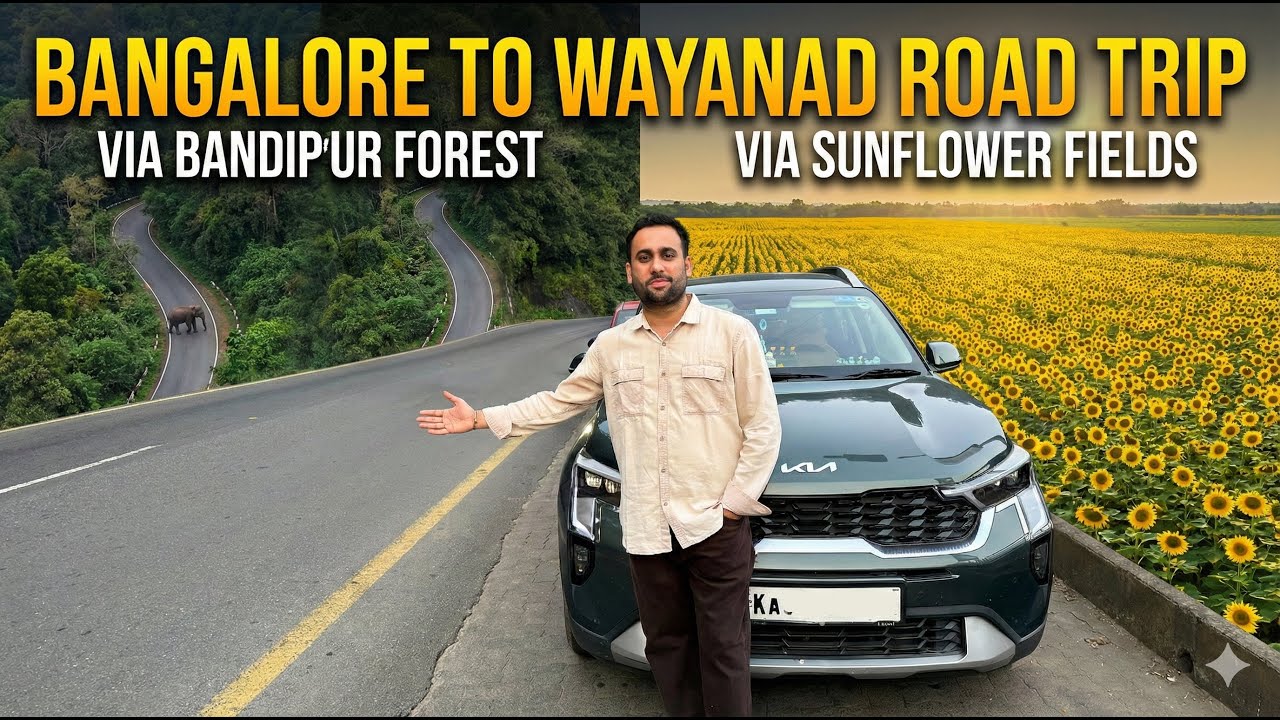 Bangalore to Wayanad Road Trip | Via Bandipur & Gundlupete Sunflower Fields | Complete Guide | EP1