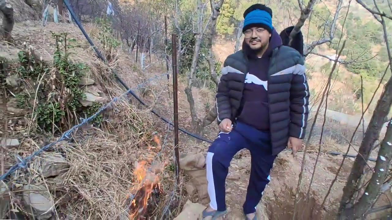 बड़ा नुकसान नहीं हुआ। इस व्लॉग में देखिए कैसे हमने आग पर काबू पाया और कैसे नए पेड़ों की रोपाई की। 🌳