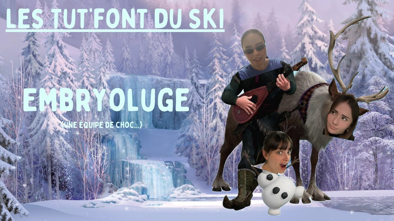 [LES TUT' FONT DU SKI] EmbryoLuge - Ep. 1 : S4 et Délimitation