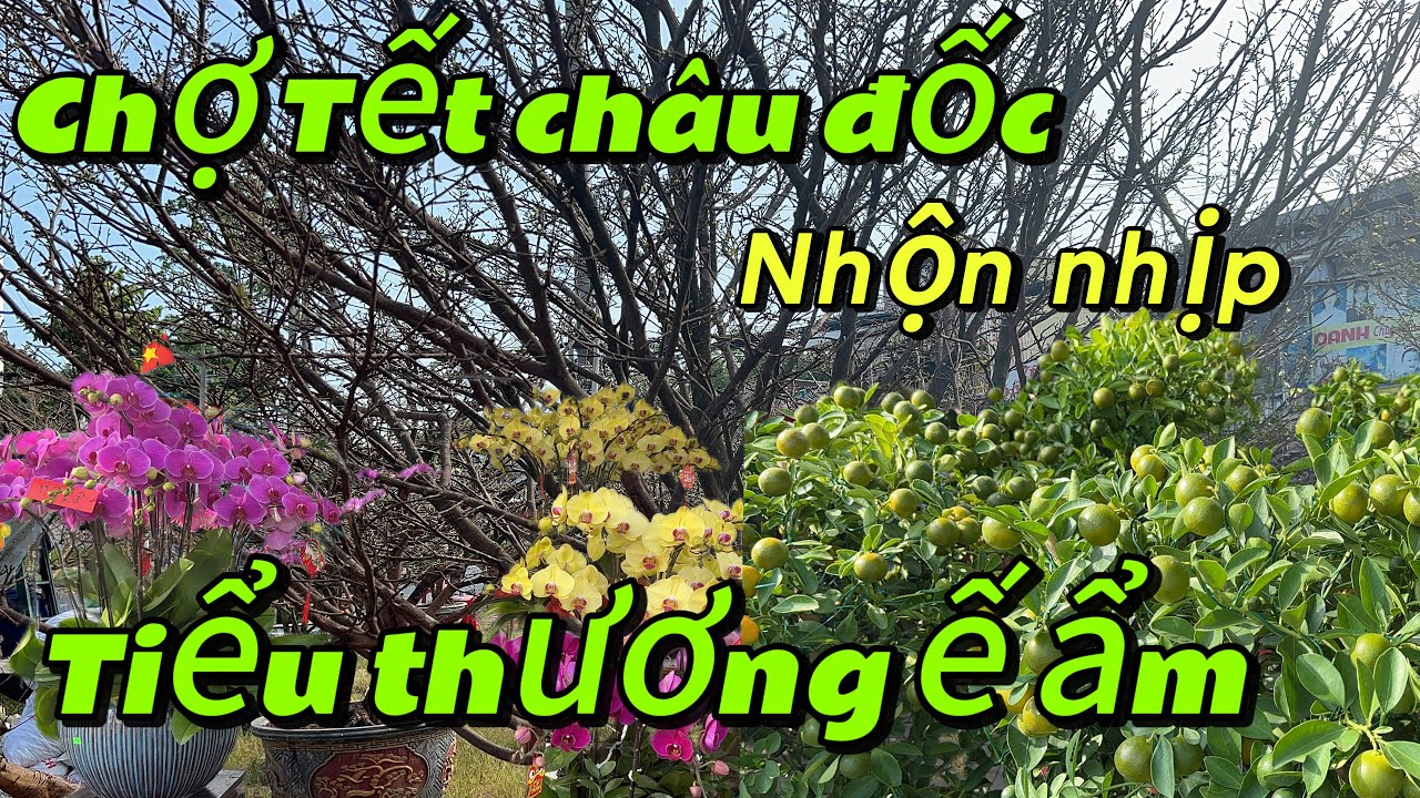 Chợ Tết châu đốc tiểu thương hai bên tấp nập Lên bông cho ngày Xuân Bính ngọ 2026 . Ngày 4/2/2026 