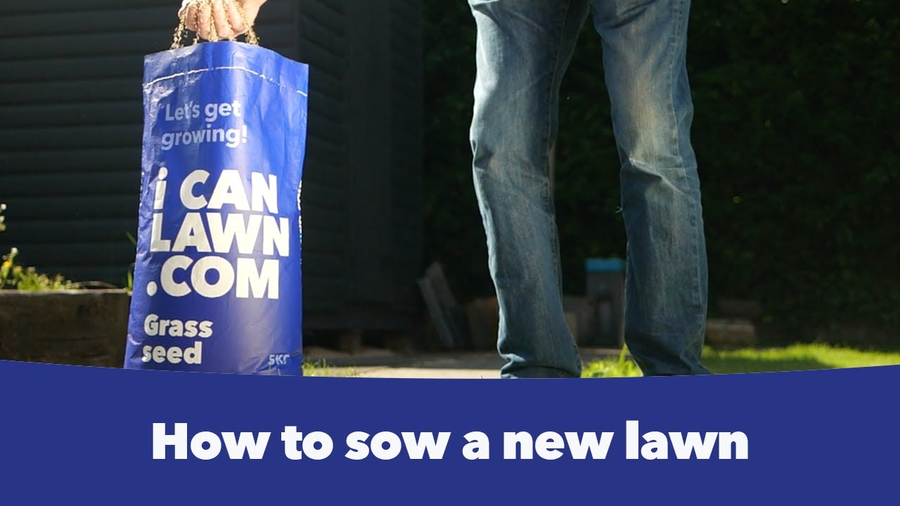 How to sow a new lawn