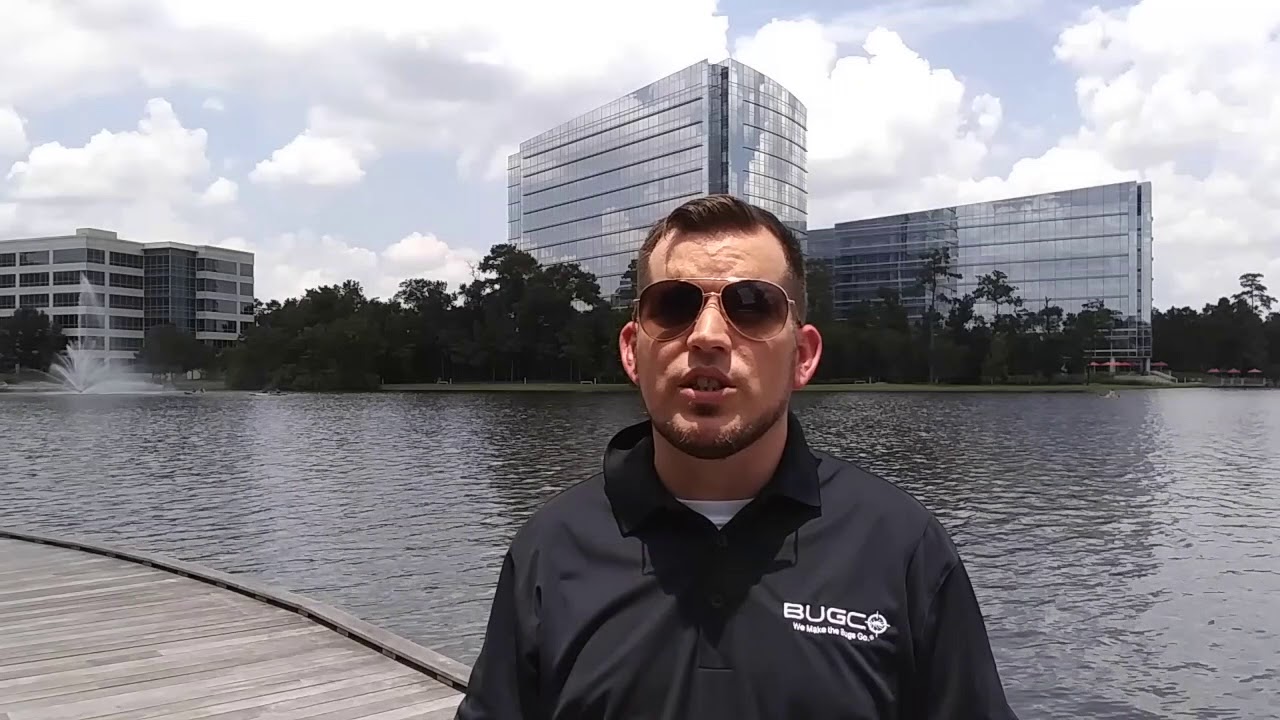 Signs of Bed Bugs The Woodlands - BUGCO Pest Control