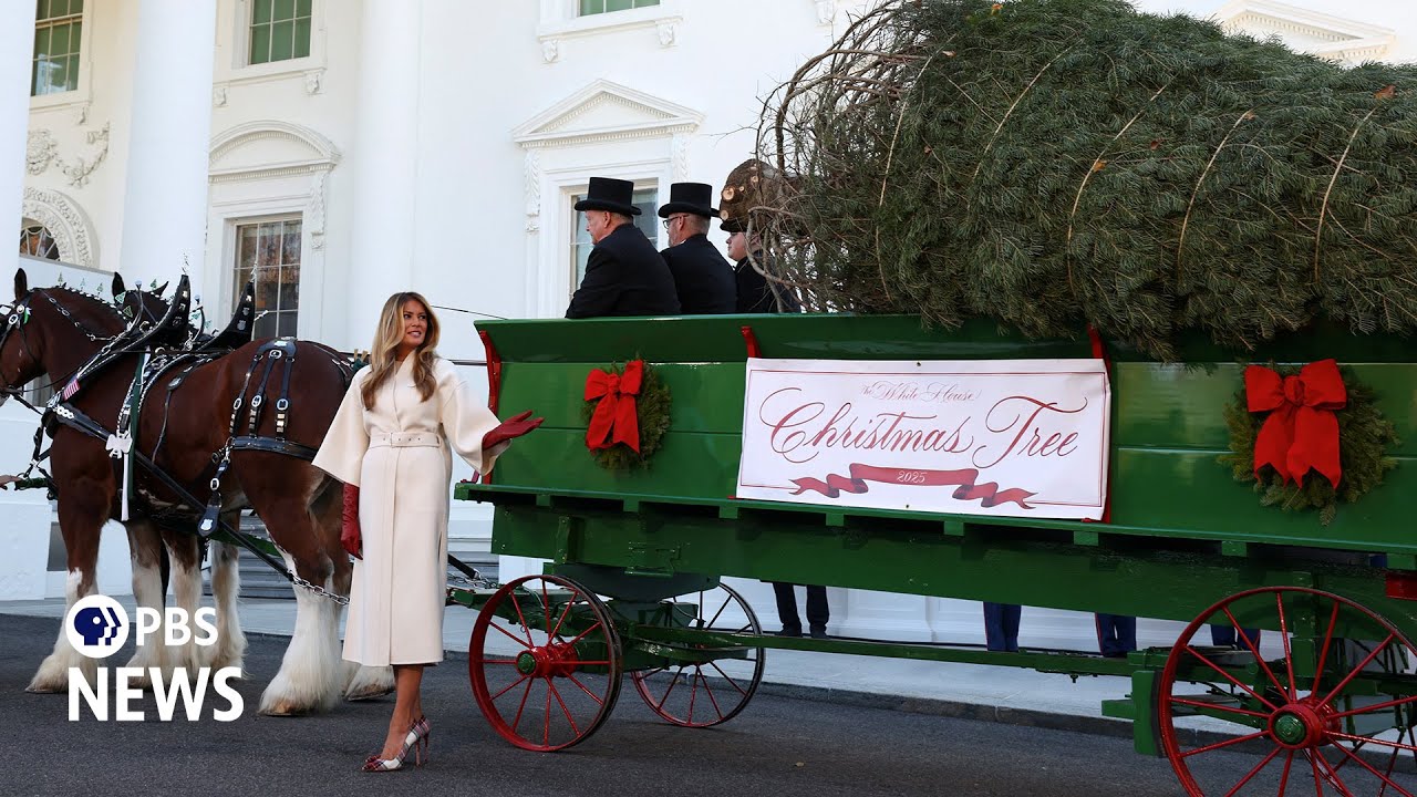 WATCH: First lady Melania Trump welcomes arrival of White House Christmas tree