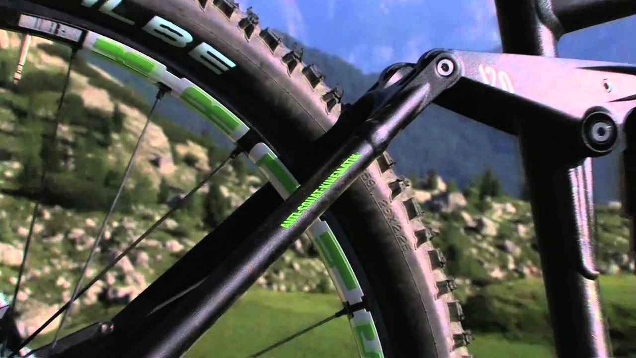 Canyon Nerve XC 2011