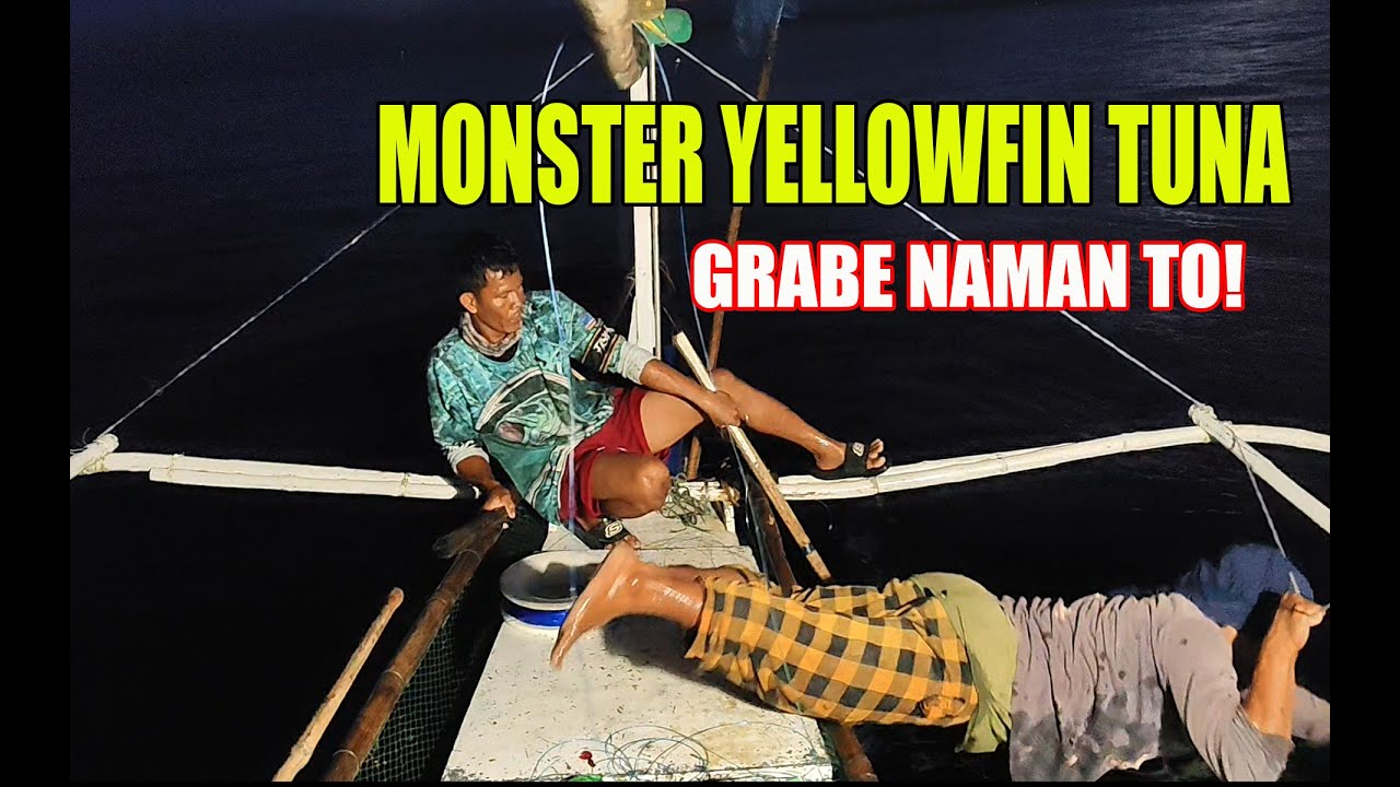 YELLOWFIN TUNA PART 2