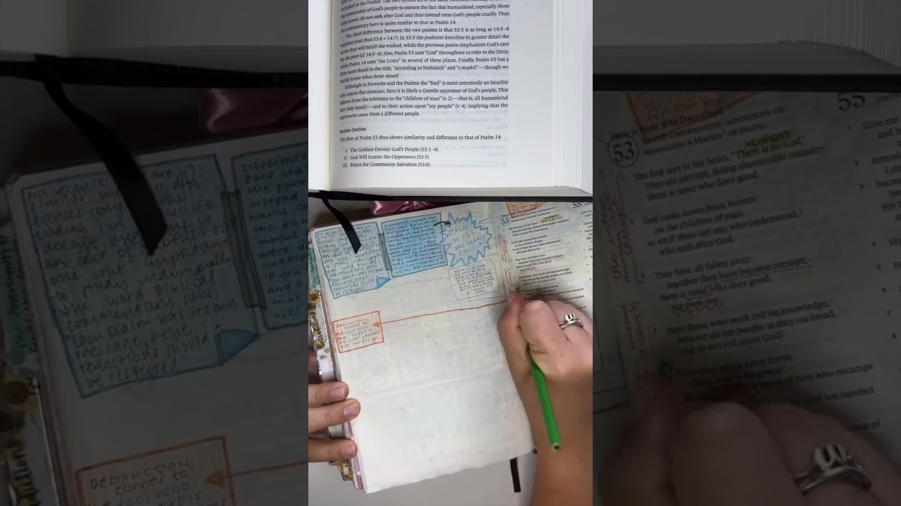 Bible journal with me in Psalm 53