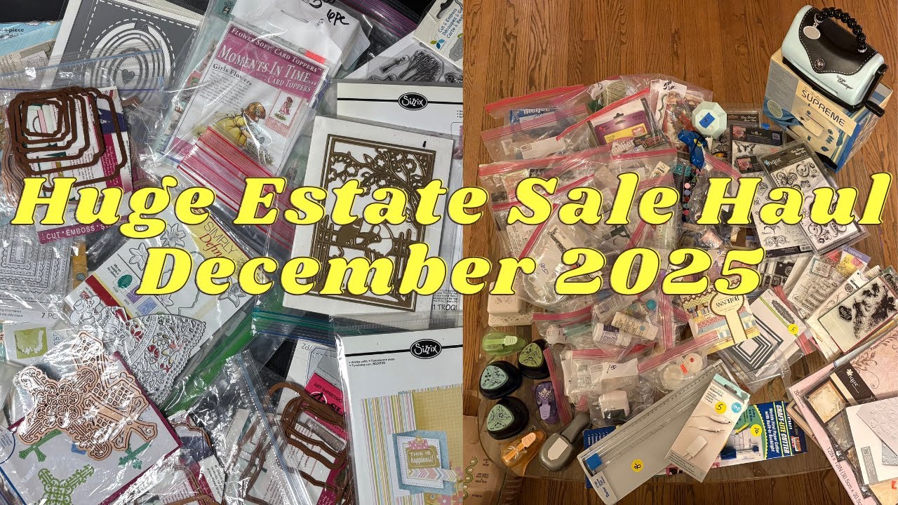 I Went to a Crafters Estate Sale… The Deals Were UNREAL -- Massive Haul   HD 1080p