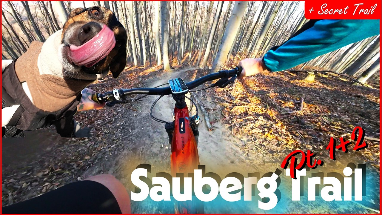 Wieder mal am Sauberg Trail...