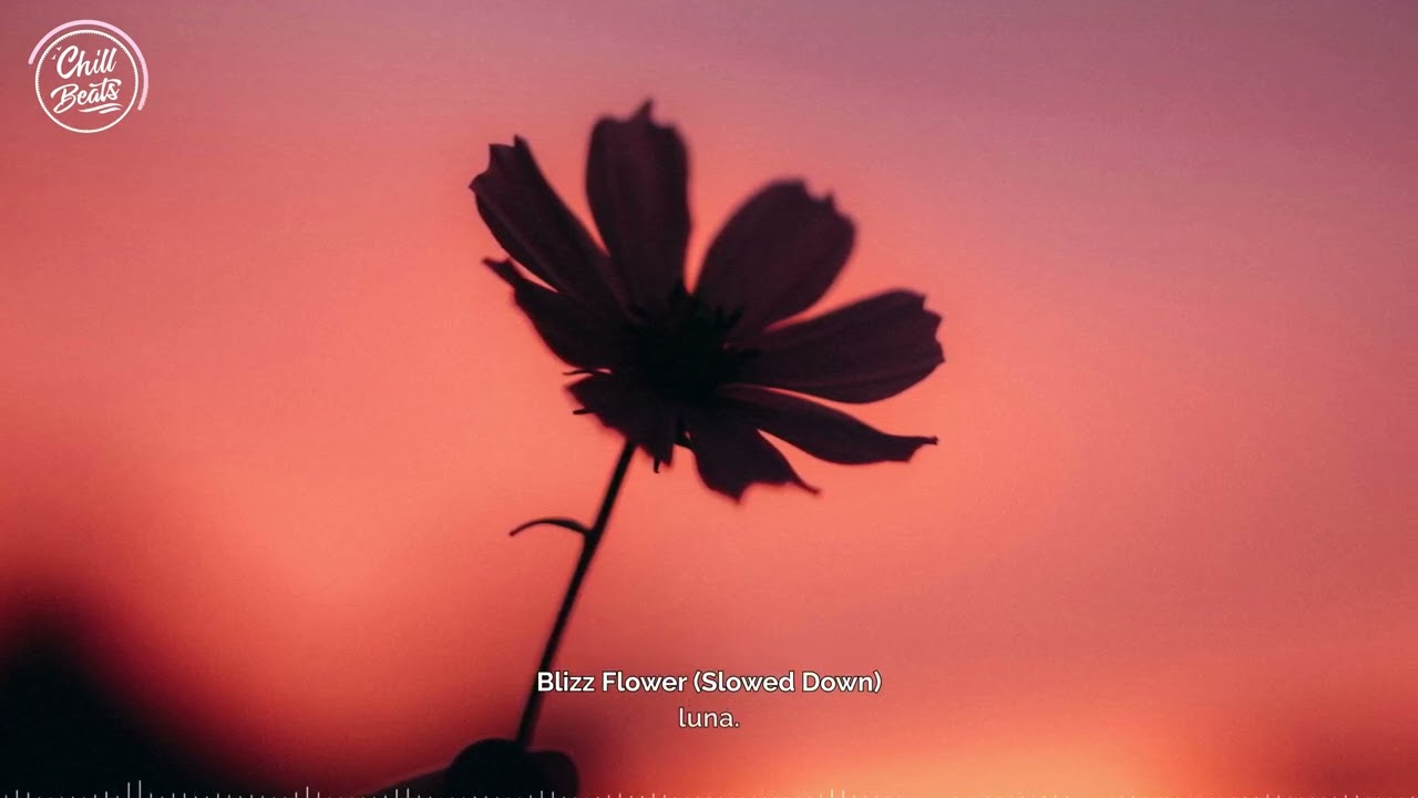 Chill Beats 🌤️ | luna - Blizz Flower (EP)