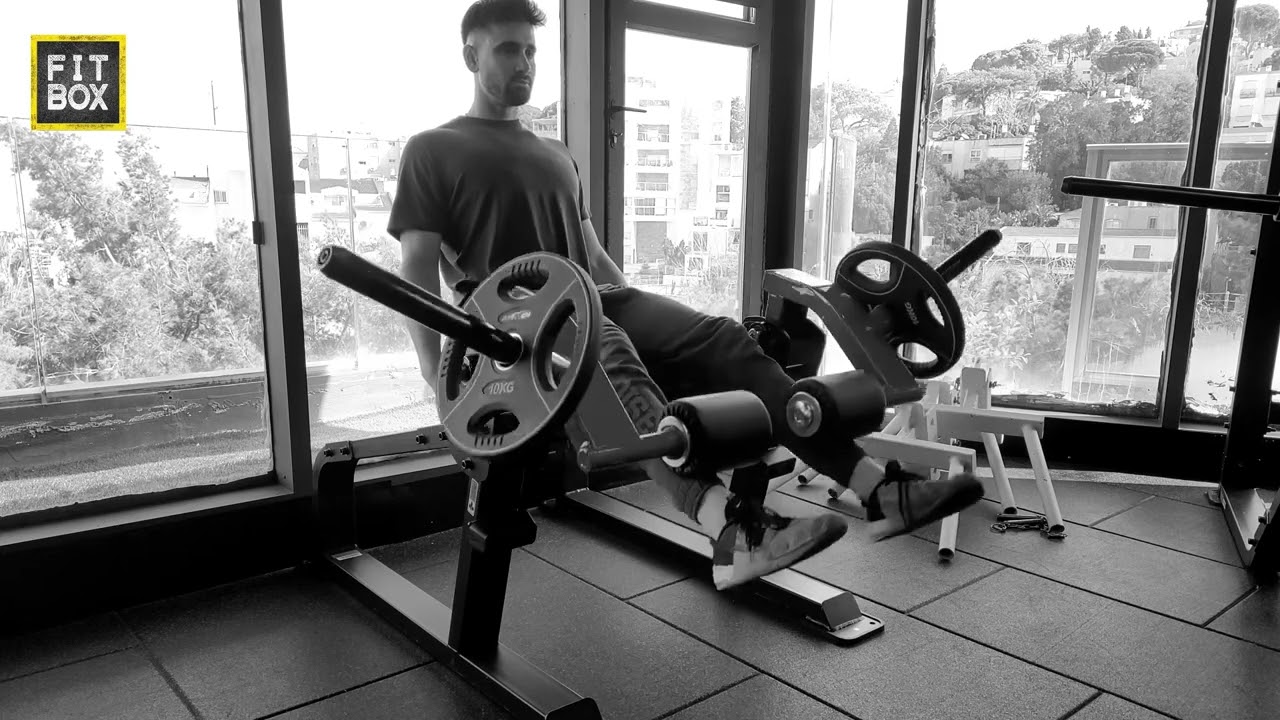Seated Quad Machine | מכונת פשיטת ברך בישיבה