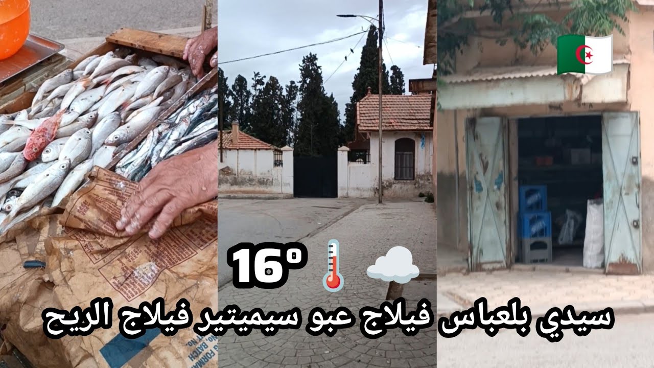 سيدي بلعباس فيلاج عبو سيميتير فيلاج الريح
