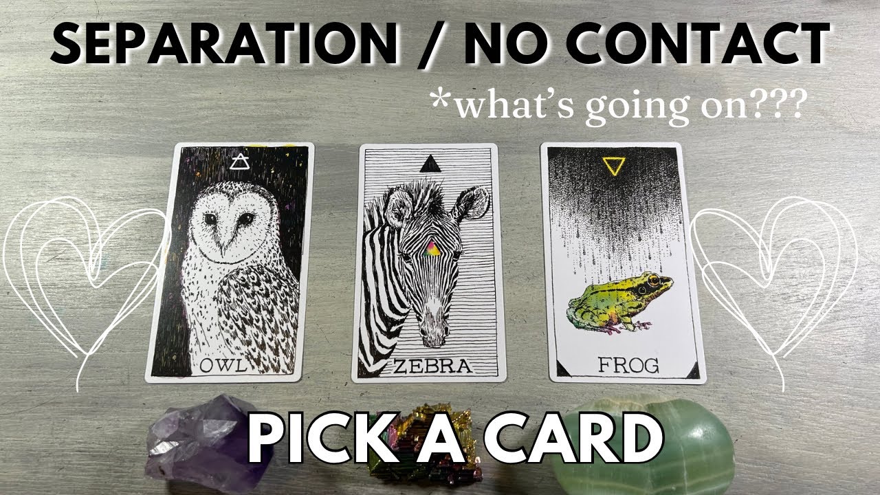 ❤️‍🔥Separation/ No Contact - What is happening… Pick A Card Love Tarot Reading