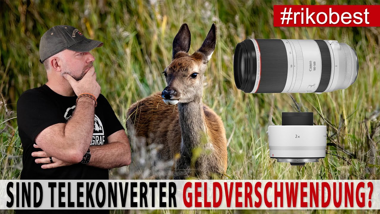 Fotografieren mit Telekonverter lohnt sich das? Der Irrtum über Telekonverter in der Fotografie