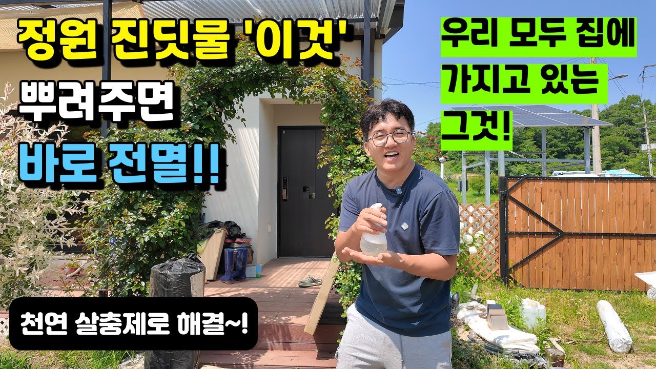 정원 진딧물 '이것' 뿌려주면 바로 전멸!!ㅣ우리 모두 집에 가지고 있는 천연살충제로 해결~! #천연살충제#진딧물#정원관리#텃밭#시골#귀농귀촌#전원주택#전원생활#시골부부#귀촌부부
