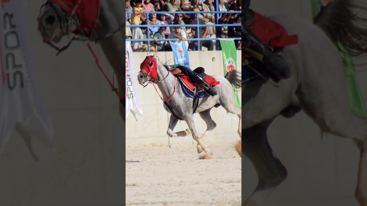 Atlı cirit g&ouml;steri ma&ccedil;ı klip &ccedil;ekimi #atasporu #cirit #shorts #ufxdrone
