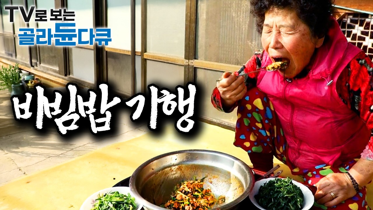 그냥 막 비벼도 잃었던 입맛 돌아온다. 각종 나물🥬 무심하게 툭툭 넣어 먹는 전국팔도 비빔밥 모음집｜한국기행｜#TV로보는골라듄다큐