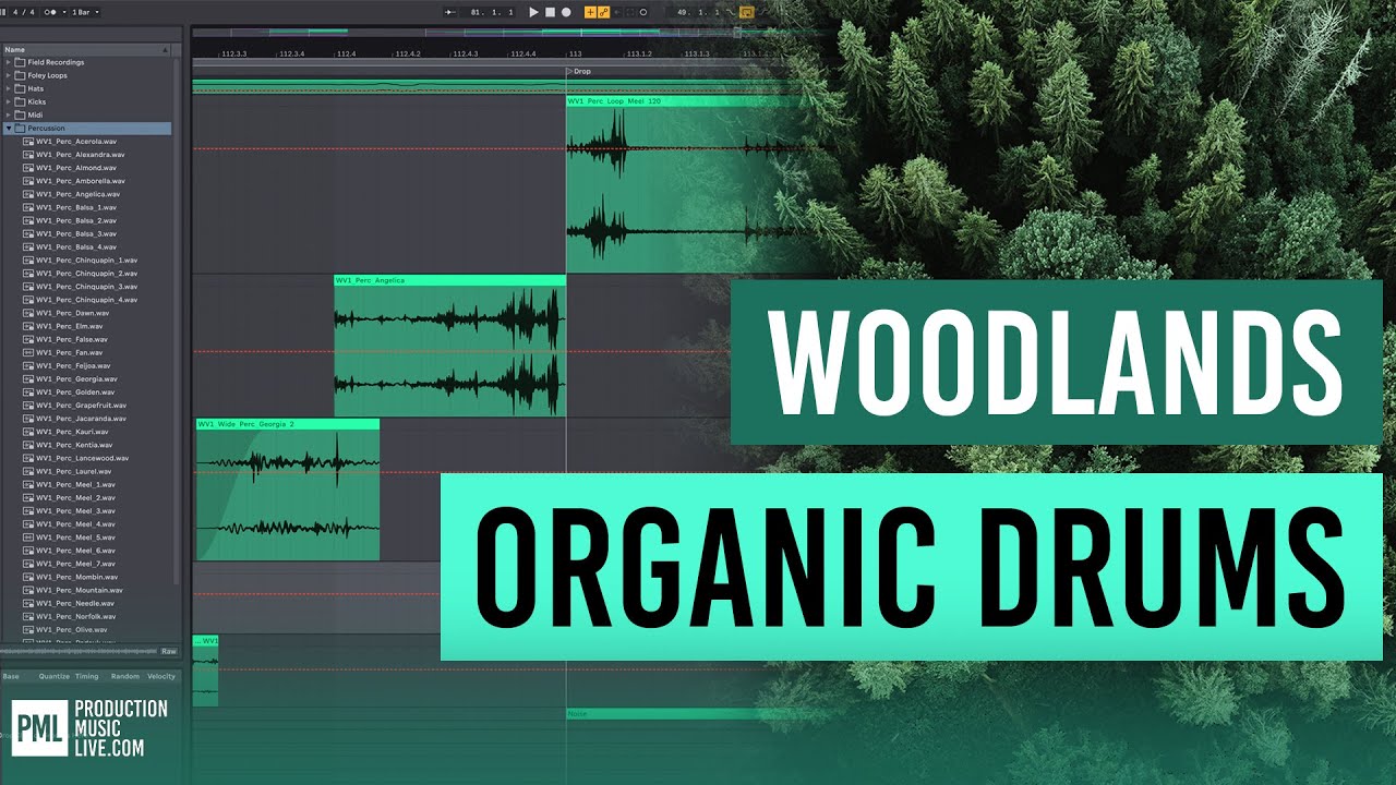 How To: Organic House Drum Groove in Ableton | Woodlands Sounds