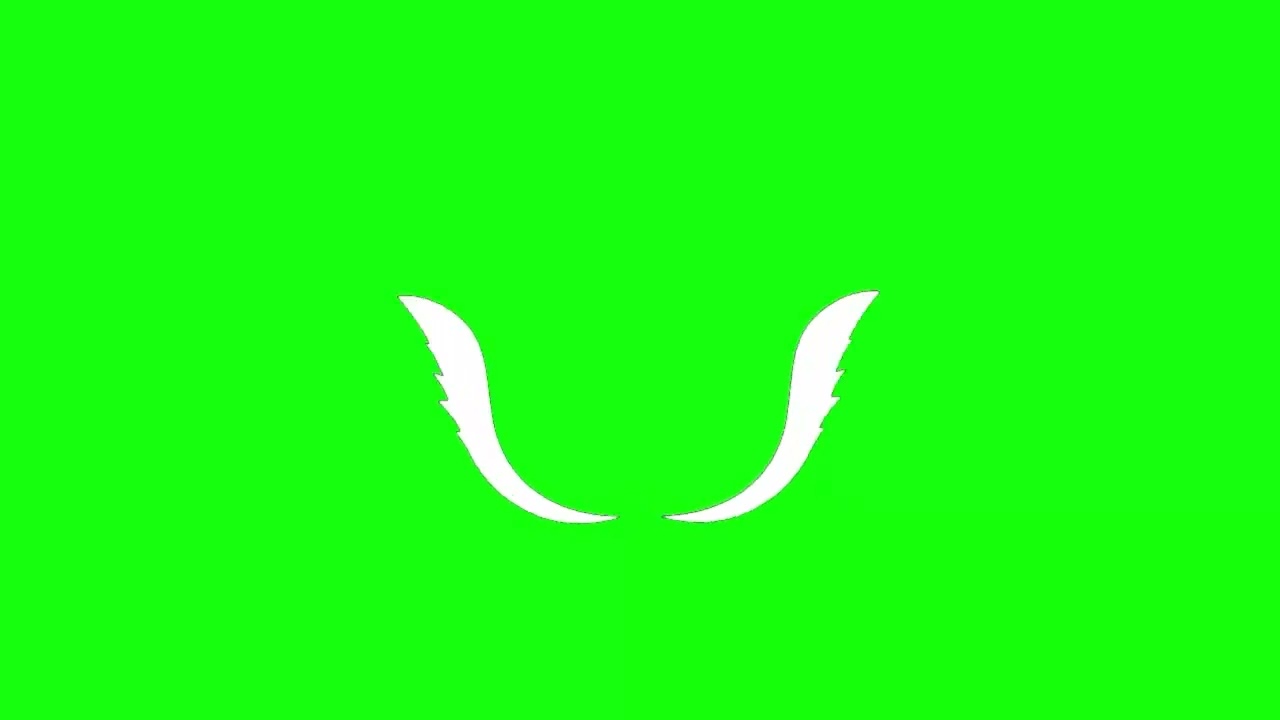 White Wings Effect   Green Screen