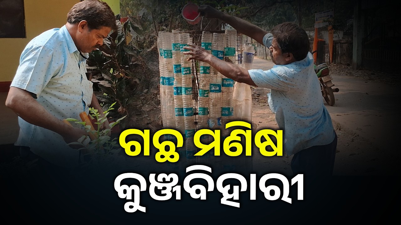 ହୋଟେଲ ବ୍ୟବସାୟୀଙ୍କ ନିଆରା ନିଶା, ଶହ ଶହ ଗଛ ଲଗାଇ ସମାଜକୁ ଦେଉଛନ୍ତି ପ୍ରେରଣା #knewsodisha