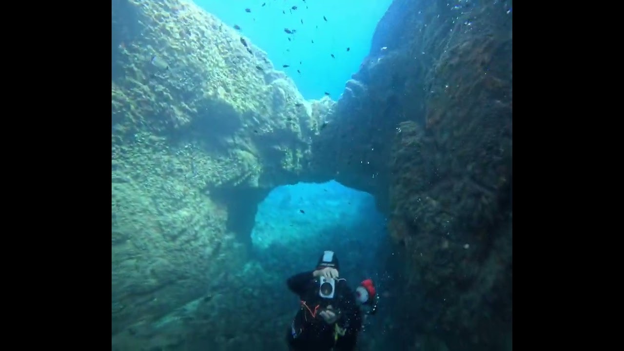 Plongée sous marine saint Raphaël 2023