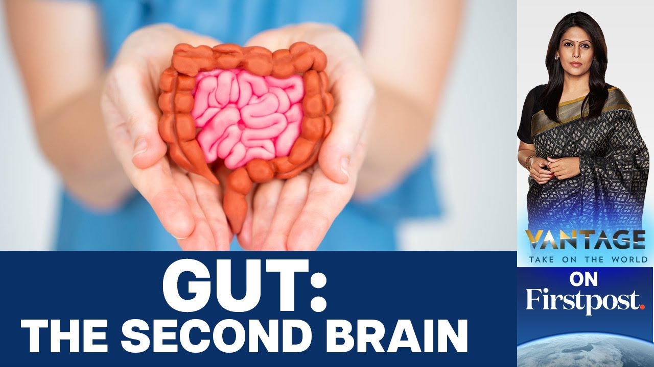 How Your Gut Can Shape Your Brain | Vantage with Palki Sharma
