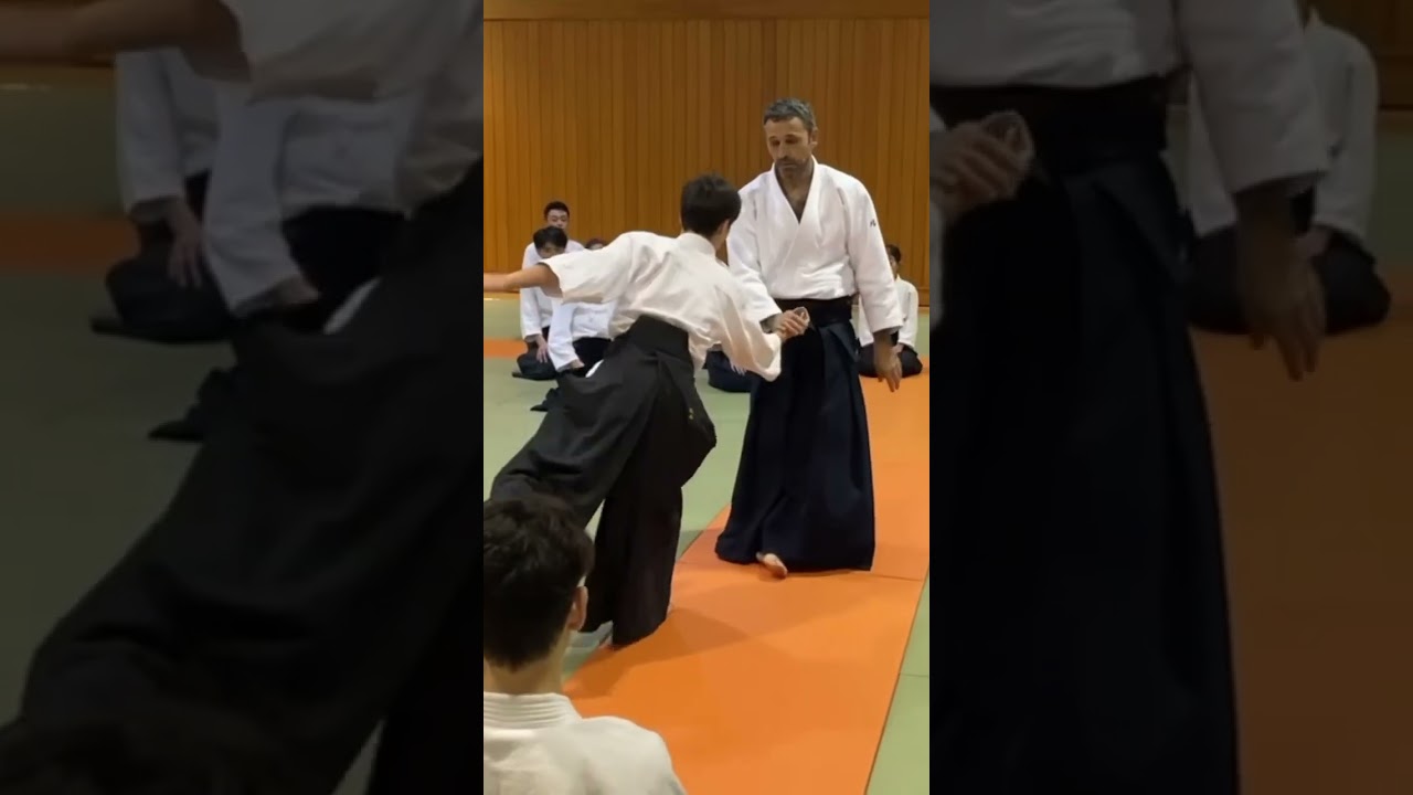 Aikido Luis Mochón. Clase en Tokyo(12/10/2025)Friendship seminar.
