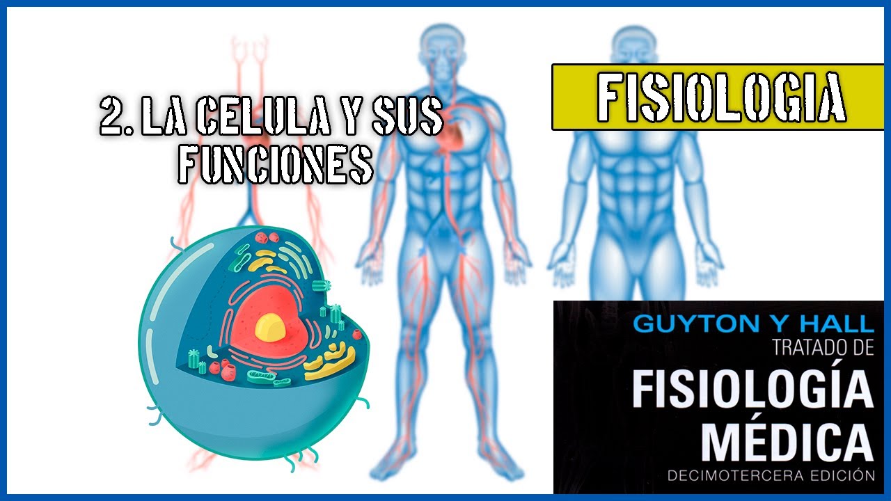 2. LA CÉLULA Y SUS FUNCIONES | FISIOLOGÍA