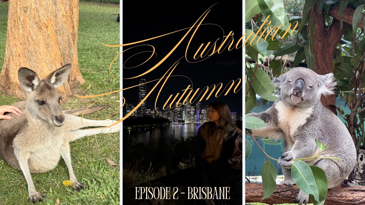 Exploring Lone Pine Koala Sanctuary & window shopping in Queen Street Mall | Australian Autumn Ep. 2