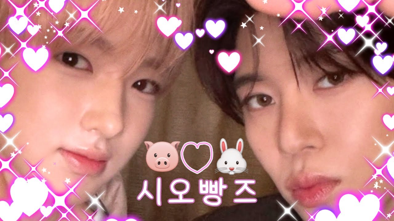 저는 샄숀을 믿(밀)어요 | 엔시티위시 시온 사쿠야