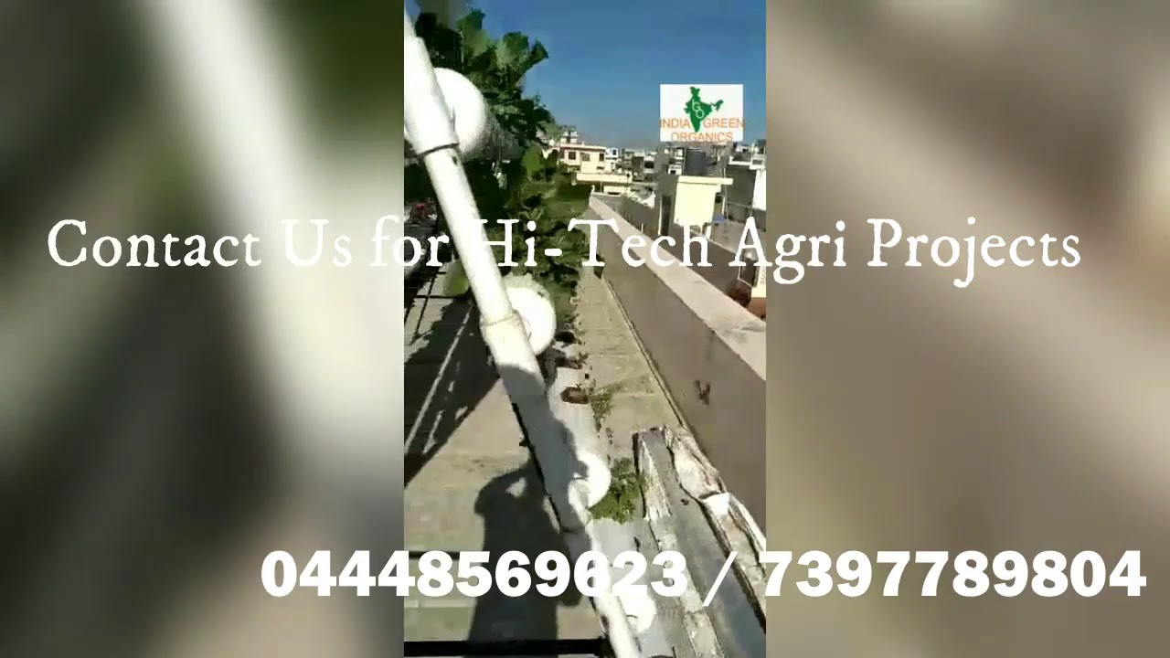 Hi-Tech Hydroponic Garden | India Green Organics