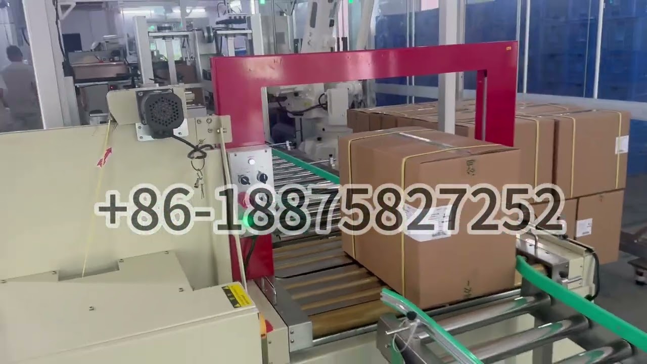 All in One Case Packer with ABB Robotic