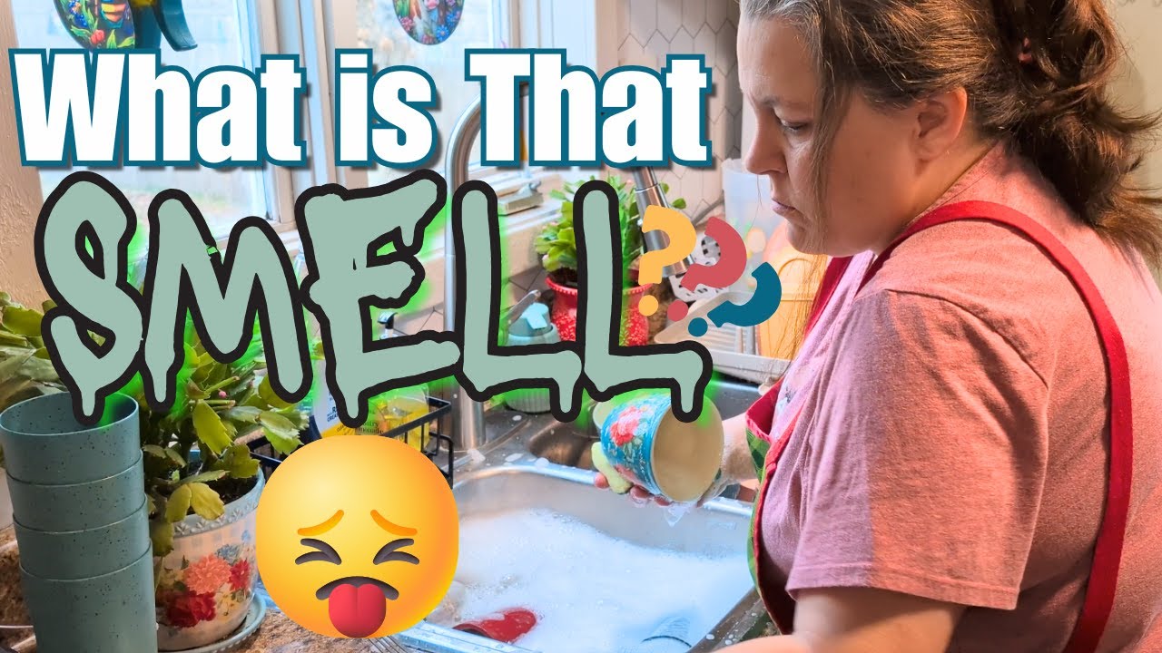 Clean With Me | What’s That SMELL? Kitchen Cleaning & Walmart Haul   🧽👃