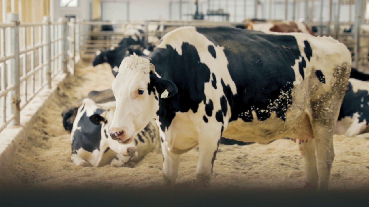 Farm Fire Prevention | Pr&eacute;vention des incendies de ferme